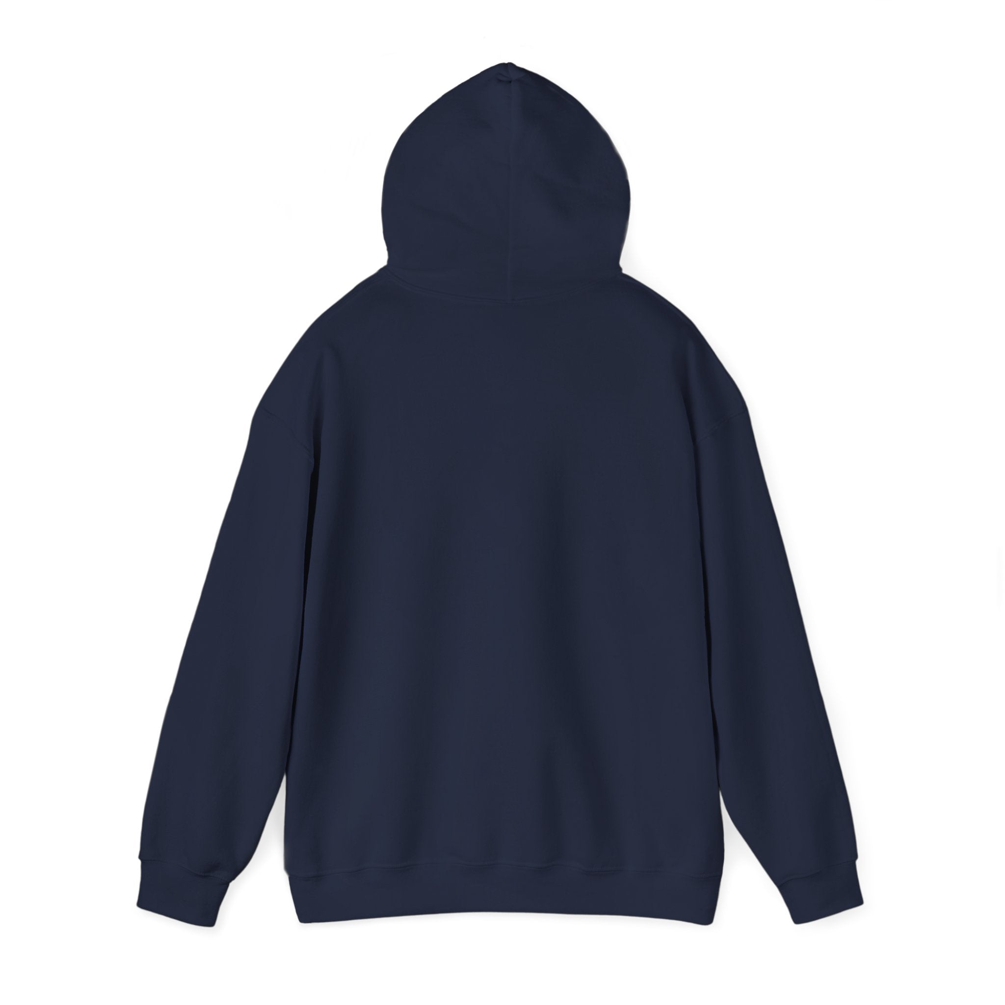 DNA Spiral Hoodie – 'I’m Not A Scientist But…' Genetic Science Graphic Sweatshirt - Bearing Hope Universe