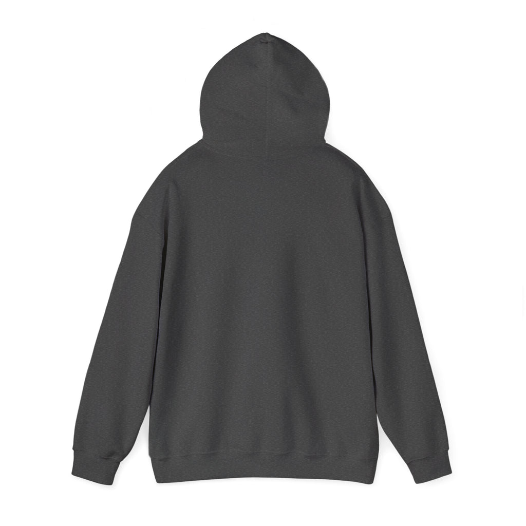 DNA Spiral Hoodie – 'I’m Not A Scientist But…' Genetic Science Graphic Sweatshirt - Bearing Hope Universe
