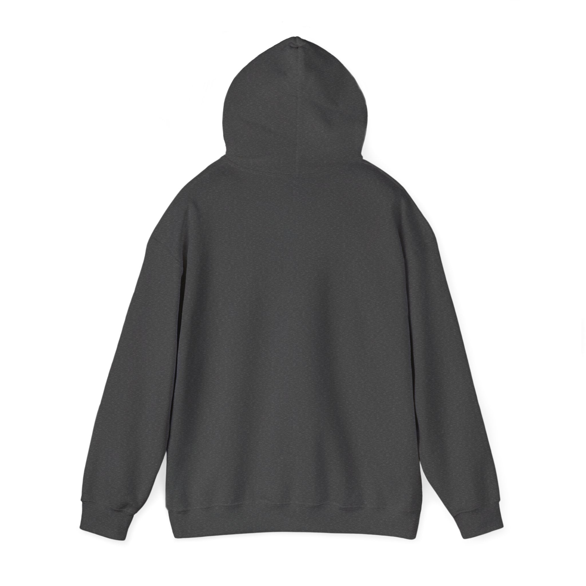 DNA Spiral Hoodie – 'I’m Not A Scientist But…' Genetic Science Graphic Sweatshirt - Bearing Hope Universe