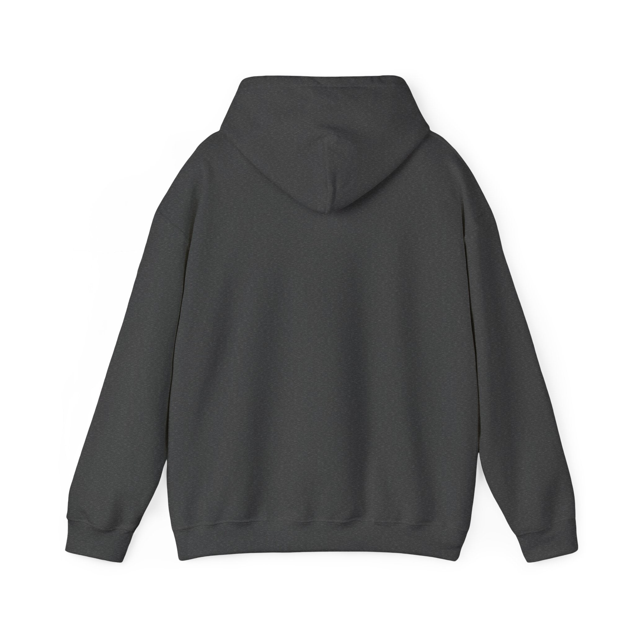 DNA Spiral Hoodie – 'I’m Not A Scientist But…' Genetic Science Graphic Sweatshirt - Bearing Hope Universe