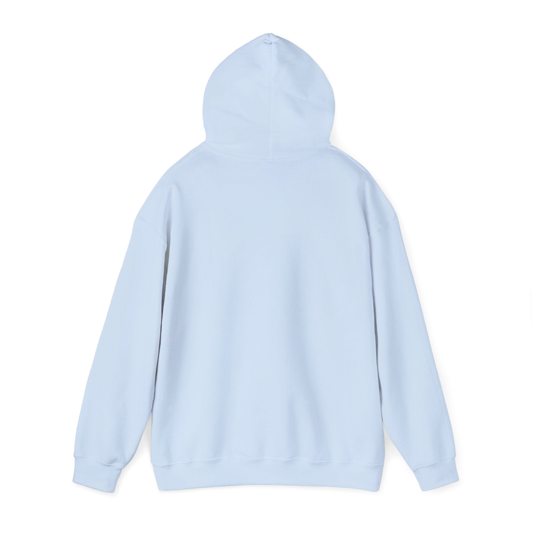 DNA Spiral Hoodie – 'I’m Not A Scientist But…' Genetic Science Graphic Sweatshirt - Bearing Hope Universe