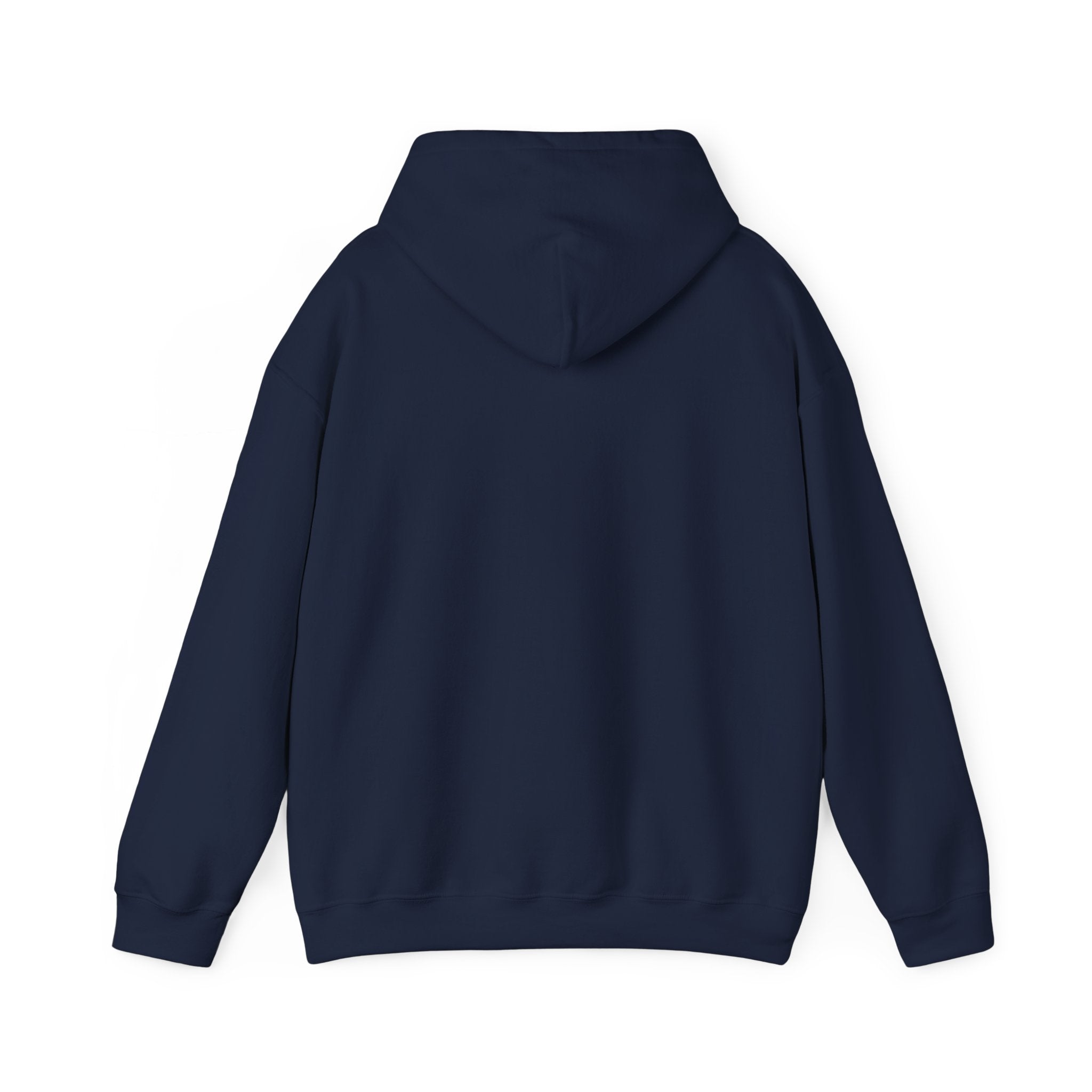 DNA Spiral Hoodie – 'I’m Not A Scientist But…' Genetic Science Graphic Sweatshirt - Bearing Hope Universe
